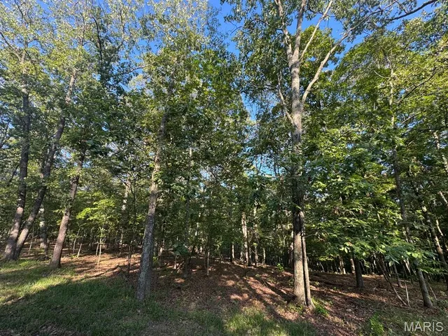 $155,000 | 160 Steeple Point Drive, Defiance, MO 63341