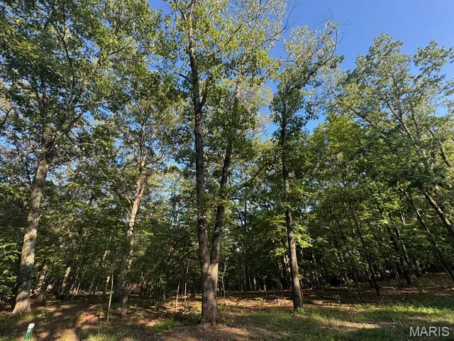 $155,000 | 160 Steeple Point Drive, Defiance, MO 63341