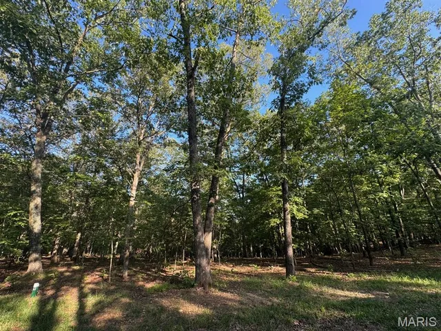 $155,000 | 160 Steeple Point Drive, Defiance, MO 63341