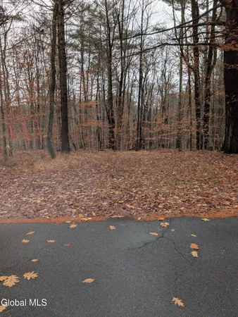 $135,000 | L18.100 L18.100 North Road, Northville, NY 12134