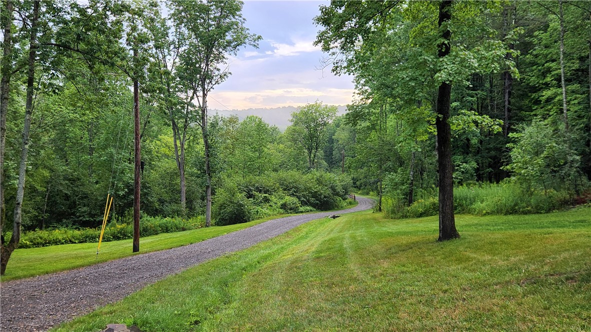 316 Seminary Road Hartwick, NY 13807 - Photo 5 of 24