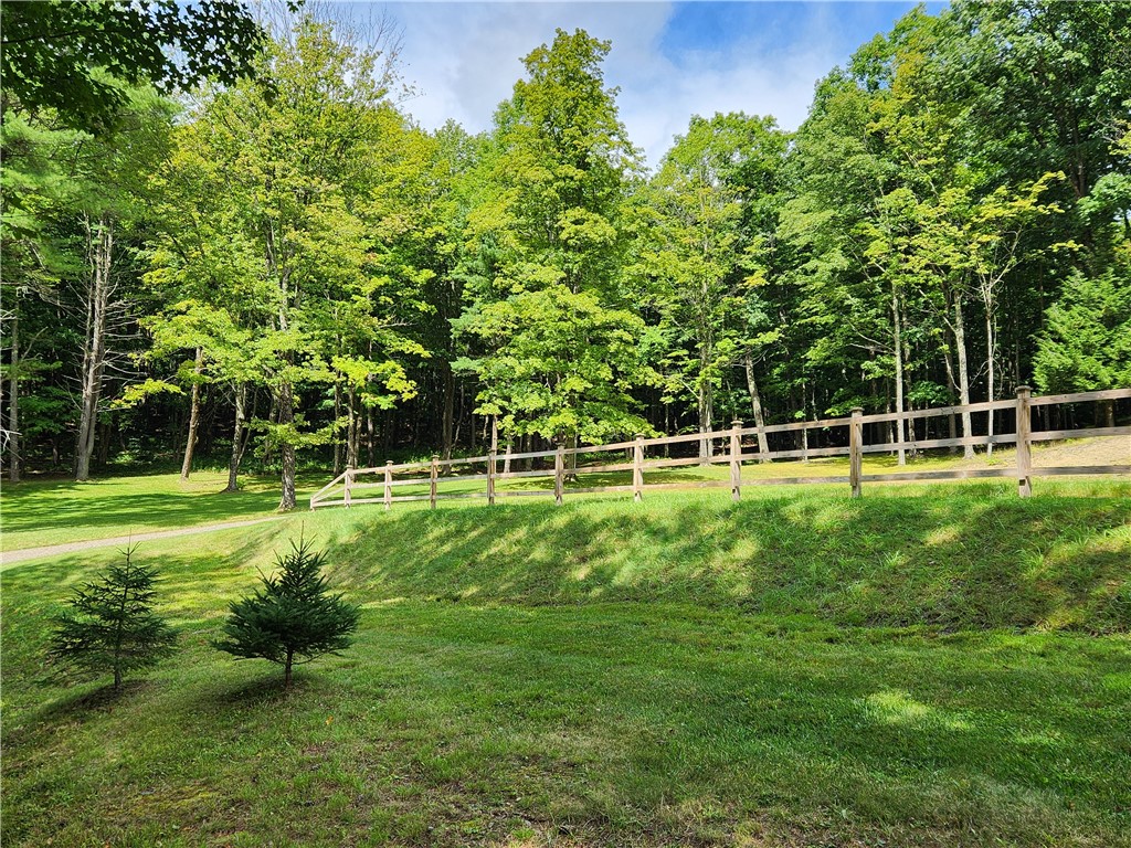 316 Seminary Road Hartwick, NY 13807 - Photo 7 of 24