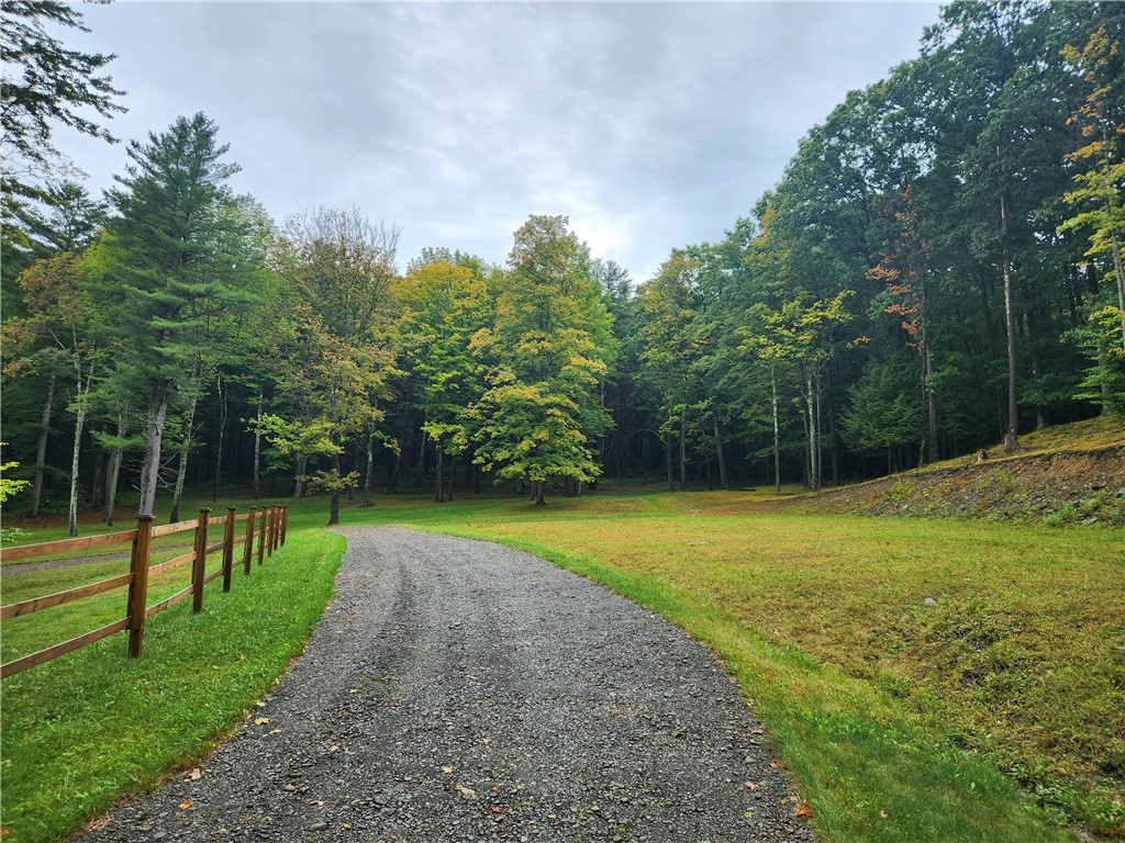 316 Seminary Road Hartwick, NY 13807 - Photo 8 of 24