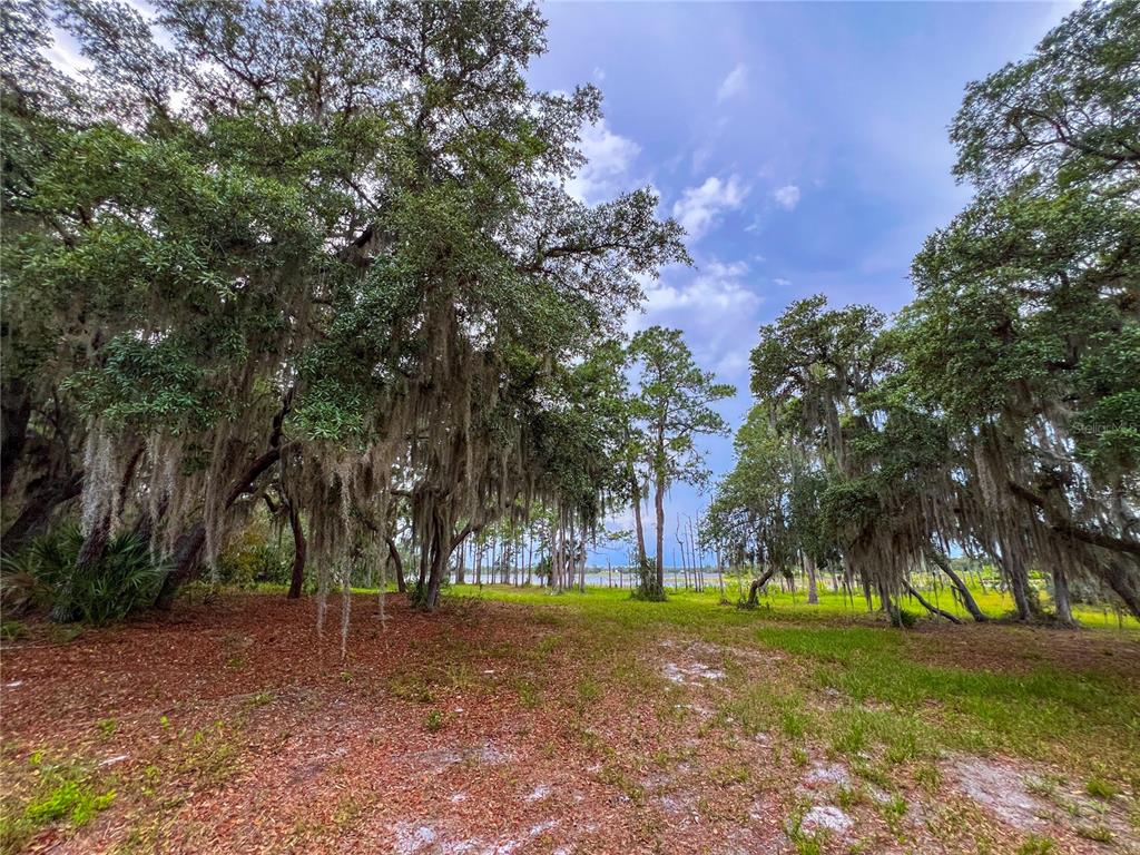 2332 Mitchell Island Road Deltona, FL 32738 - Photo 14 of 18