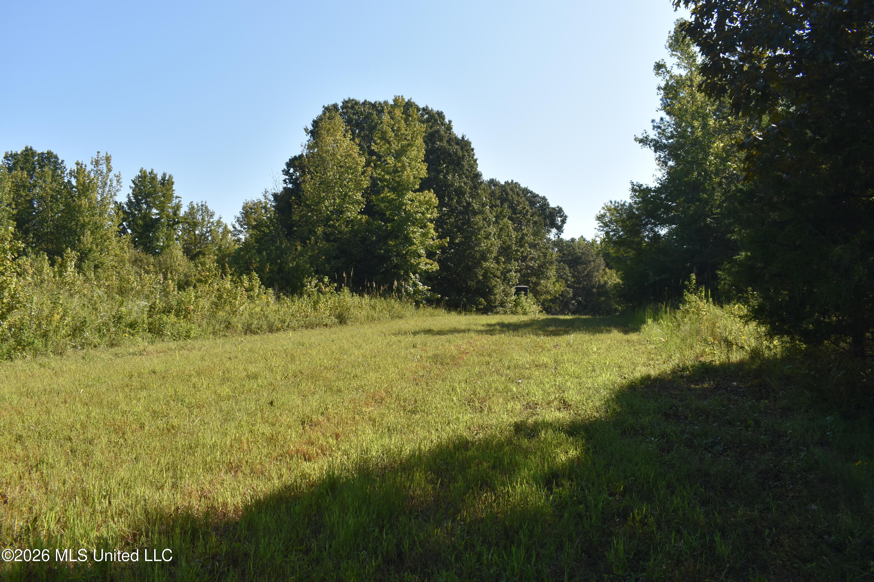 390 Old Panola Road Como, MS 38619 - Photo 18 of 71 DSC_0178