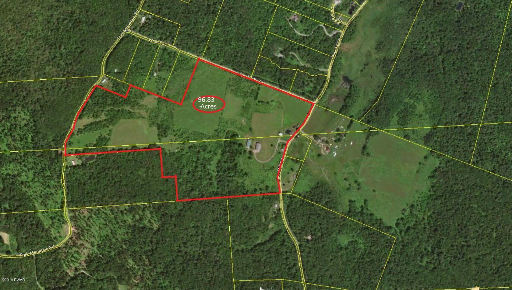 695 Pine Mill Road Equinunk, PA 18417 - Photo 63 of 68