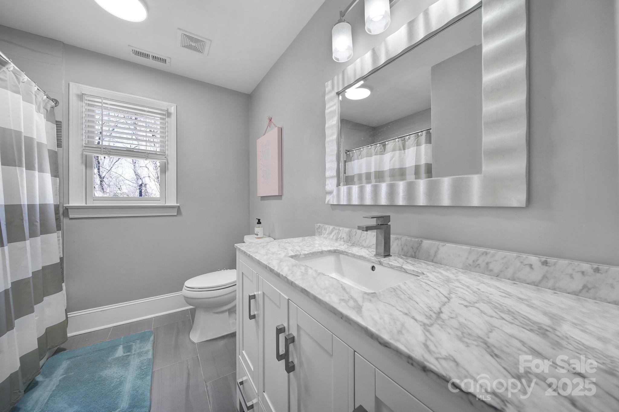 726 Amberly Crossing Fort Mill, SC 29708 - Photo 25 of 47 a bathroom with a sink a toilet and mirror