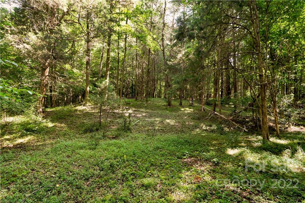 0 Triplett Road Mount Ulla, NC 28125 - Photo 28 of 45 Gallery Image 28