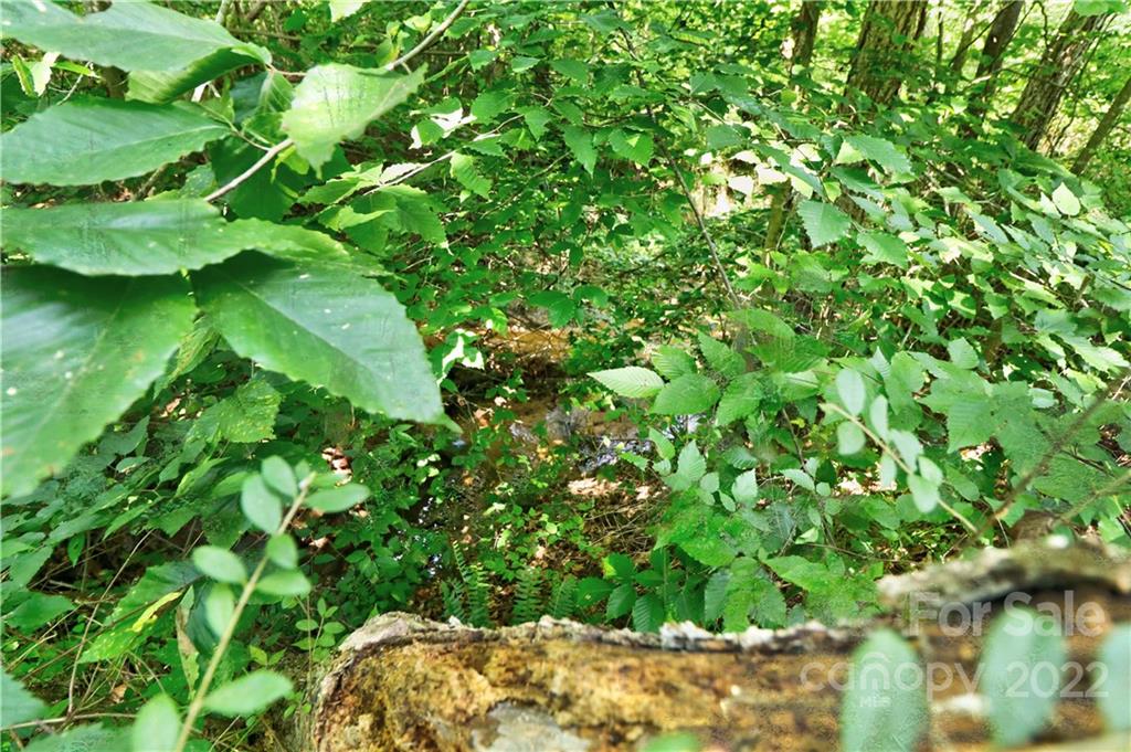 0 Triplett Road Mount Ulla, NC 28125 - Photo 44 of 45 Gallery Image 44