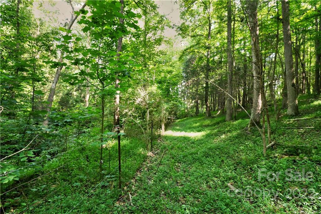 0 Triplett Road Mount Ulla, NC 28125 - Photo 45 of 45 Gallery Image 45