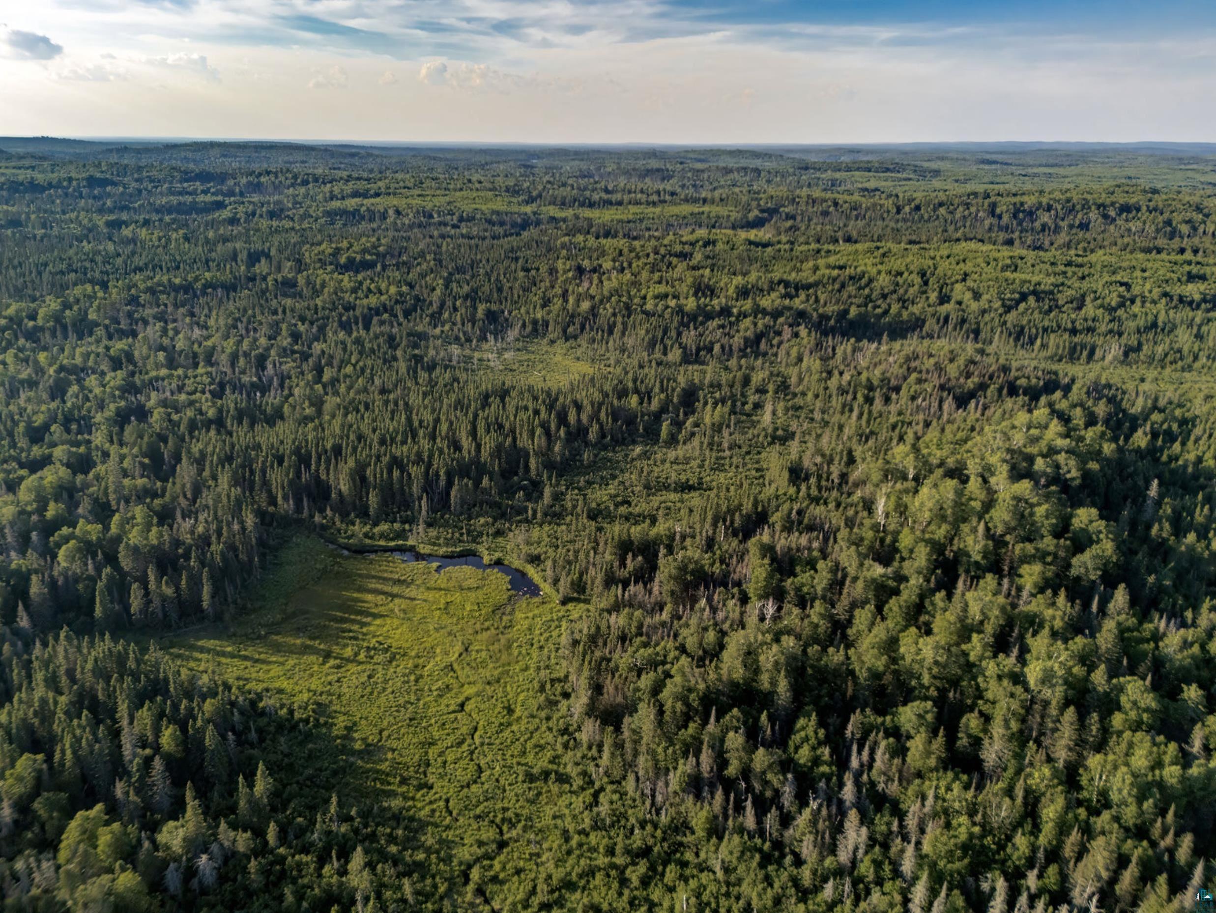 Tbd Hoist Lake Road Finland, MN 55603 - Photo 4 of 22