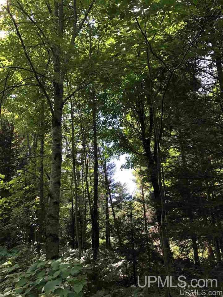 Tbd West Tower Road Ishpeming, MI 49849 - Photo 29 of 44