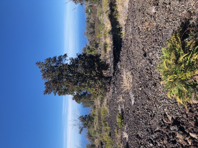 92-1968 Lot 2 Luau Dr  