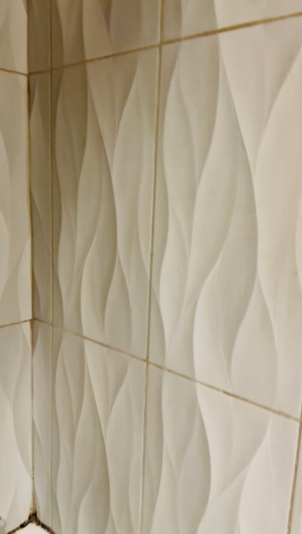 6200 West Tidwell Road, Unit 304 Houston, TX 77092 - Photo 8 of 14 a bathroom with a shower curtain and a shower curtain