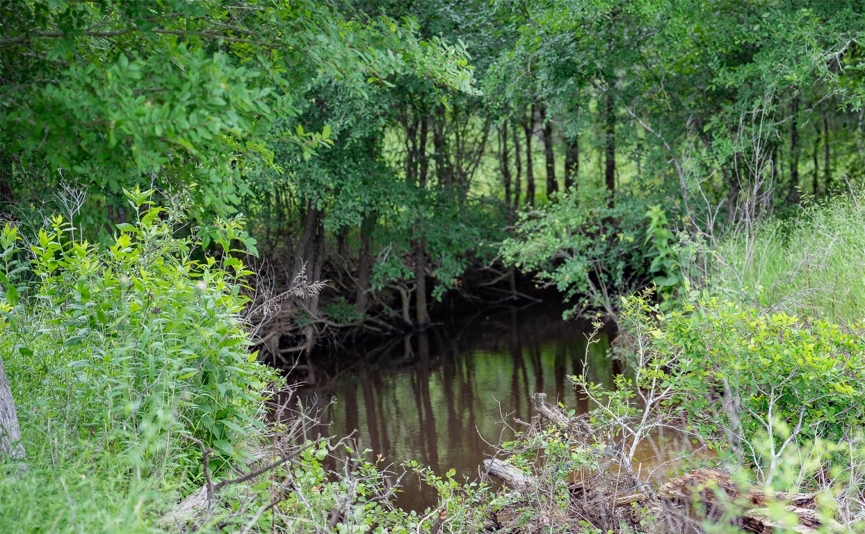 1716 B Cr Coupland, TX 78615 - Photo 12 of 40 a view of a lake with a tree