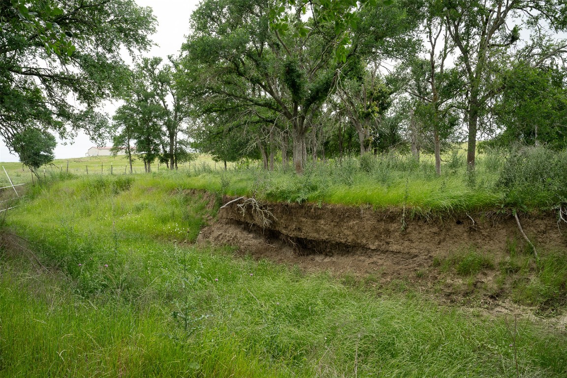 1716 B Cr Coupland, TX 78615 - Photo 13 of 40 a view of a lush green space