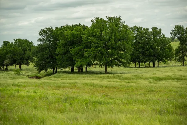 a view of field with trees