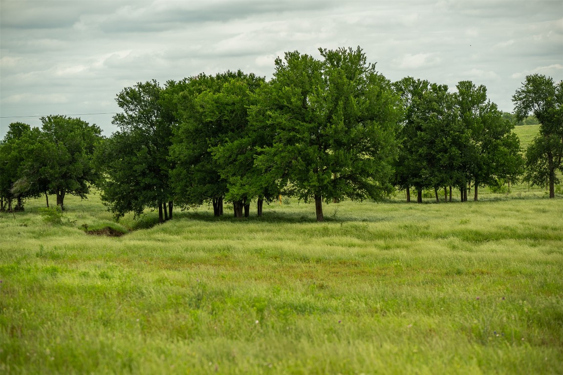 1716 B Cr Coupland, TX 78615 - Photo 14 of 40 a view of field with trees