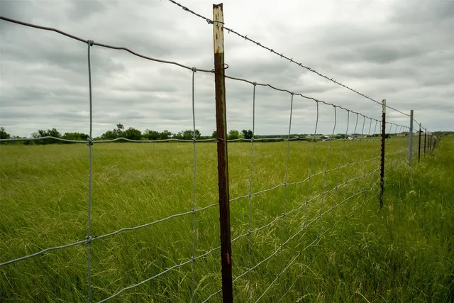 a view of a field with a big yard