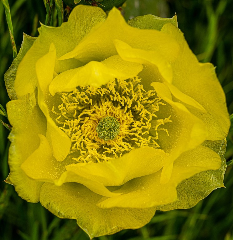 1716 B Cr Coupland, TX 78615 - Photo 20 of 40 a view of a swimming pool