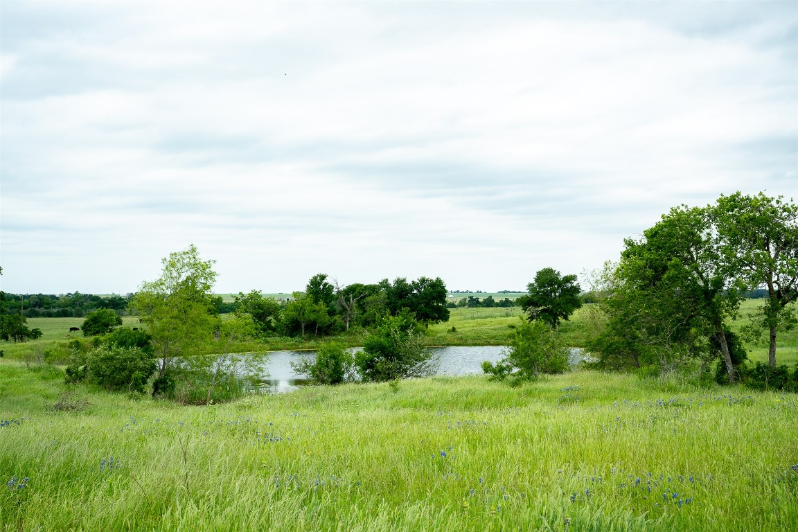 1716 B Cr Coupland, TX 78615 - Photo 22 of 40 a view of a big yard with large trees