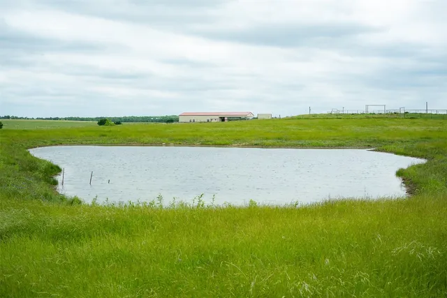 a view of a big yard with large trees