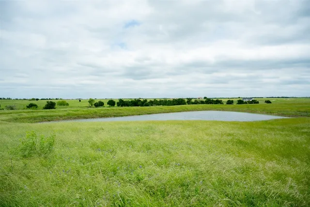 a view of a field with an ocean