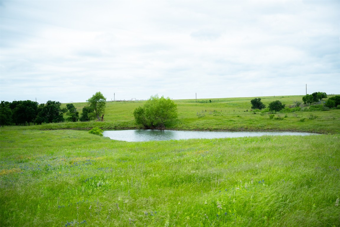 1716 B Cr Coupland, TX 78615 - Photo 28 of 40 a view of a field of grass and trees