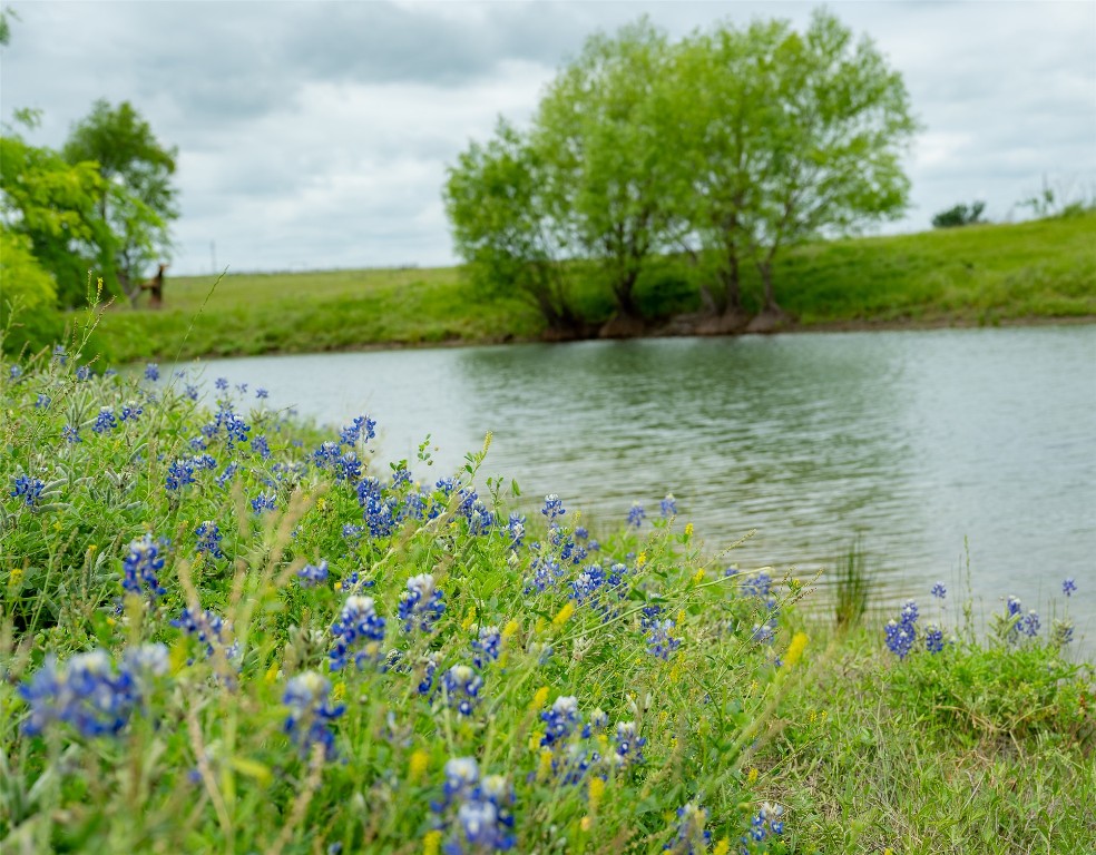 1716 B Cr Coupland, TX 78615 - Photo 30 of 40 a view of a lake with a big yard