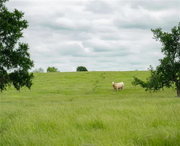 a view of a grassy area with an ocean