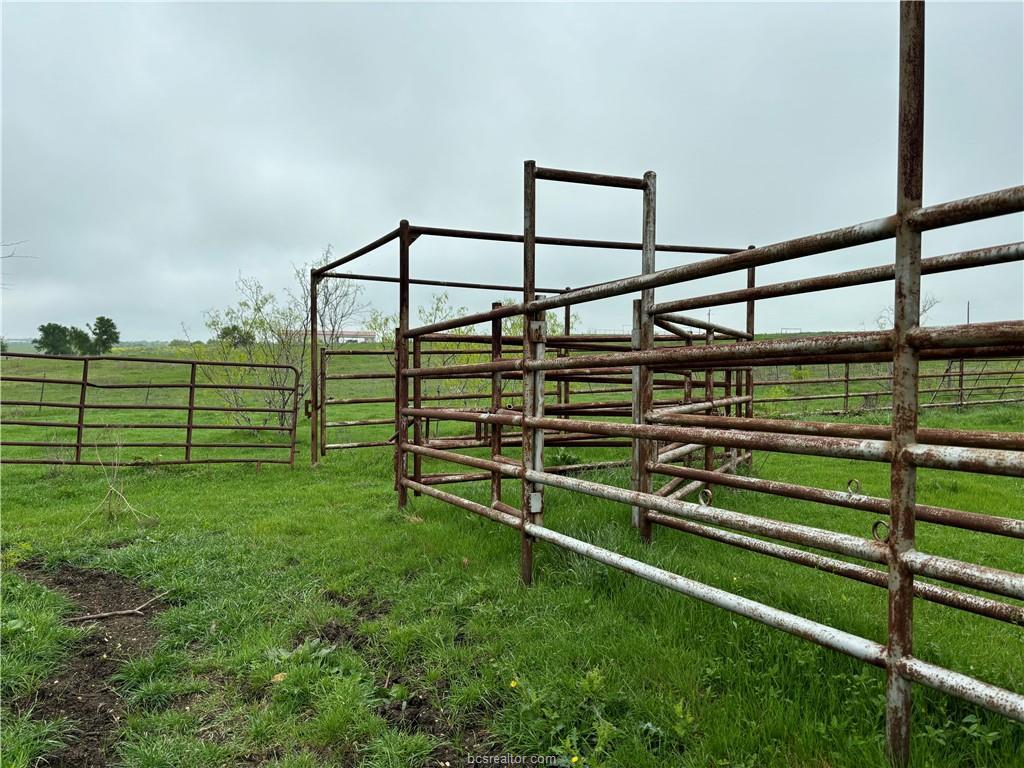1716 B Cr Coupland, TX 78615 - Photo 35 of 40 a view of outdoor space with backyard and road