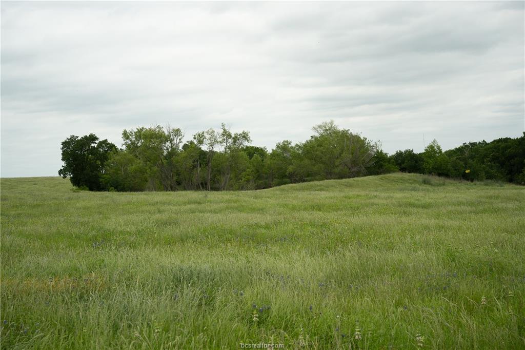 1716 B Cr Coupland, TX 78615 - Photo 36 of 40 a view of a green field with wooden fence