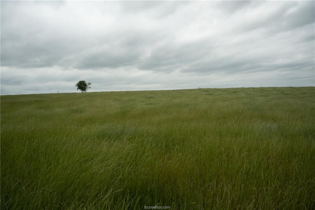 1716 B Cr Coupland, TX 78615 - Photo 37 of 40 a view of a field with an trees in the background