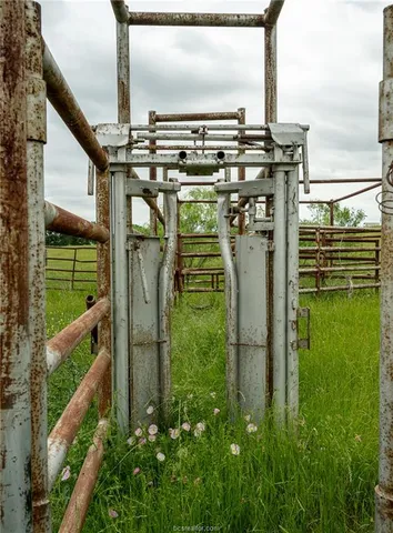 a partial view of a garden