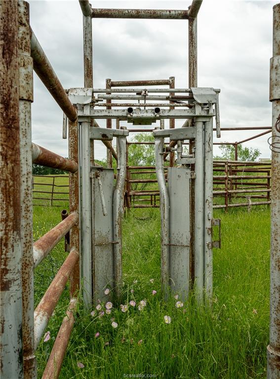 1716 B Cr Coupland, TX 78615 - Photo 38 of 40 a partial view of a garden