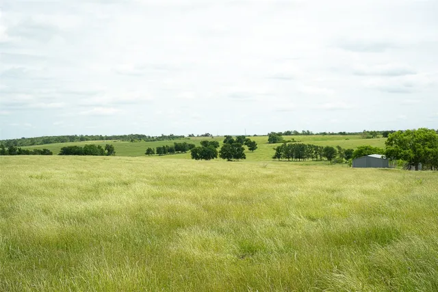 a view of a field with an ocean