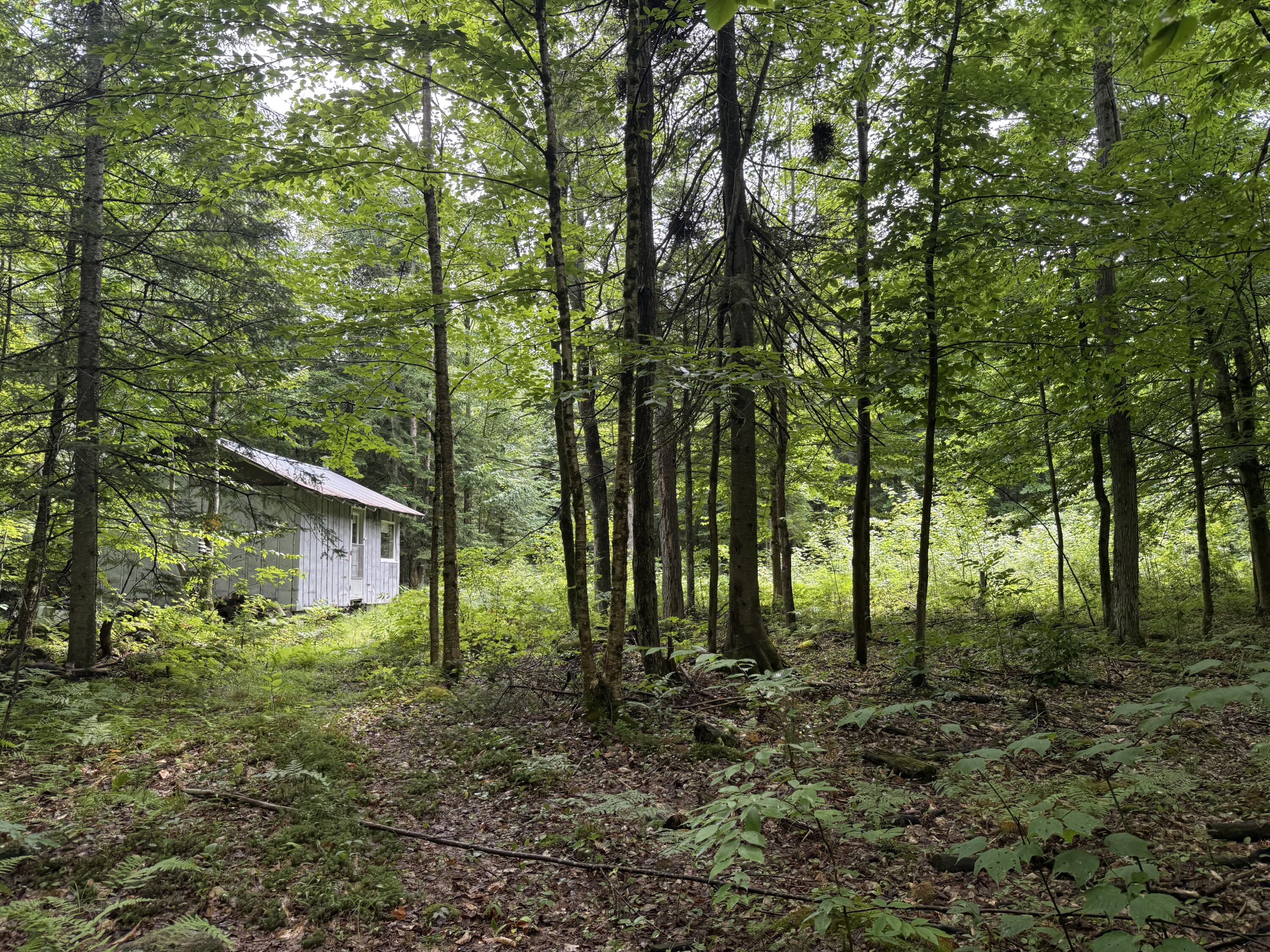 0 Cox Road North Bangor, NY 12966 - Photo 14 of 22 IMG_8423