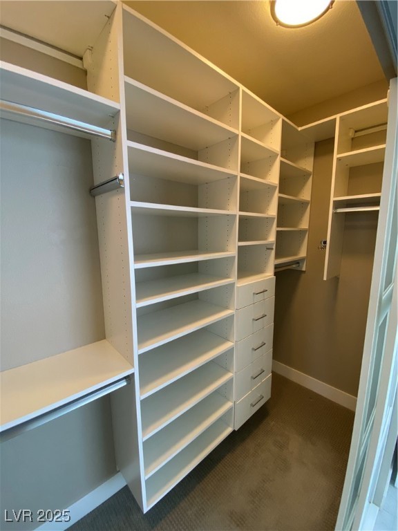 2225 Warm Walnut Drive Las Vegas, NV 89134 - Photo 33 of 38 Walk in closet with dark carpet