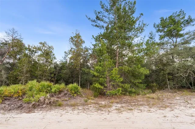 a view of a yard with a tree