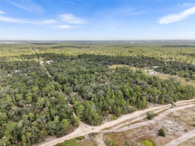 an aerial view of residential houses with outdoor space and trees