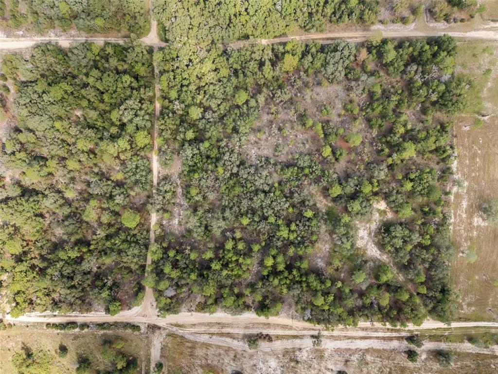 0 Northeast 75th Street Bronson, FL 32621 - Photo 7 of 11 a view of a yard with an outdoor space