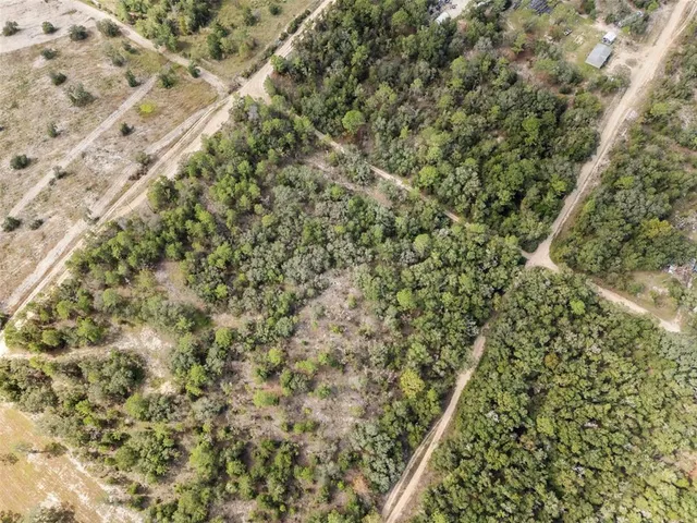 a close up of a plant with a plant