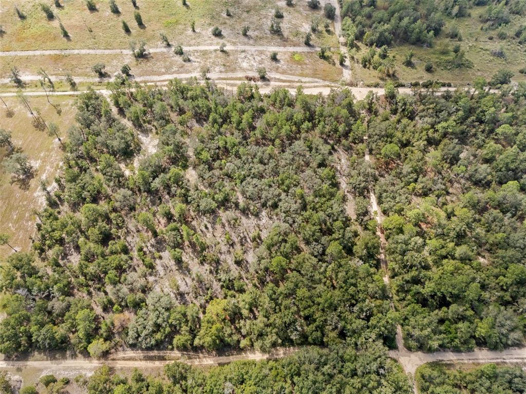 0 Northeast 75th Street Bronson, FL 32621 - Photo 9 of 11 a view of a yard