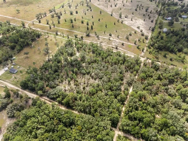 a view of a large yard with lots of trees