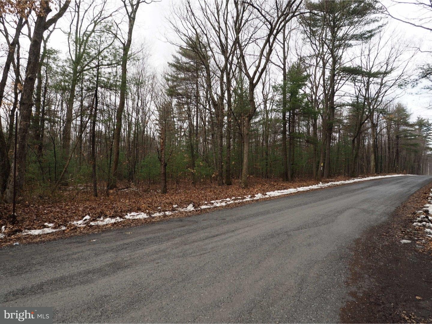 Nw Rabbit Run Road Andreas, PA 18211 - Photo 1 of 2 Gallery Image 1