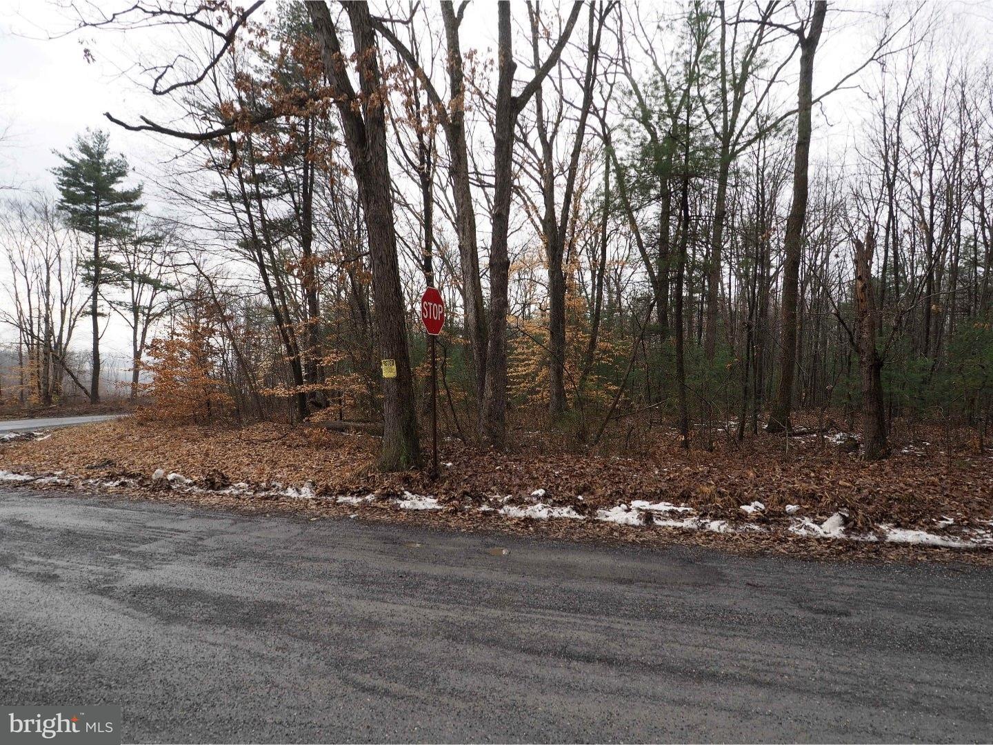 Nw Rabbit Run Road Andreas, PA 18211 - Photo 2 of 2 Gallery Image 2