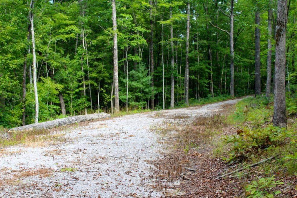 Wildcat Road Jamestown, TN 38556 - Photo 22 of 27 D580C60B-4368-4E9F-AB09-6598E953DE56