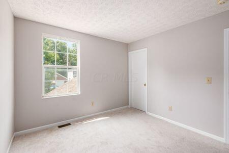 5766 Red Sand Road Hilliard, OH 43026 - Photo 38 of 43 39