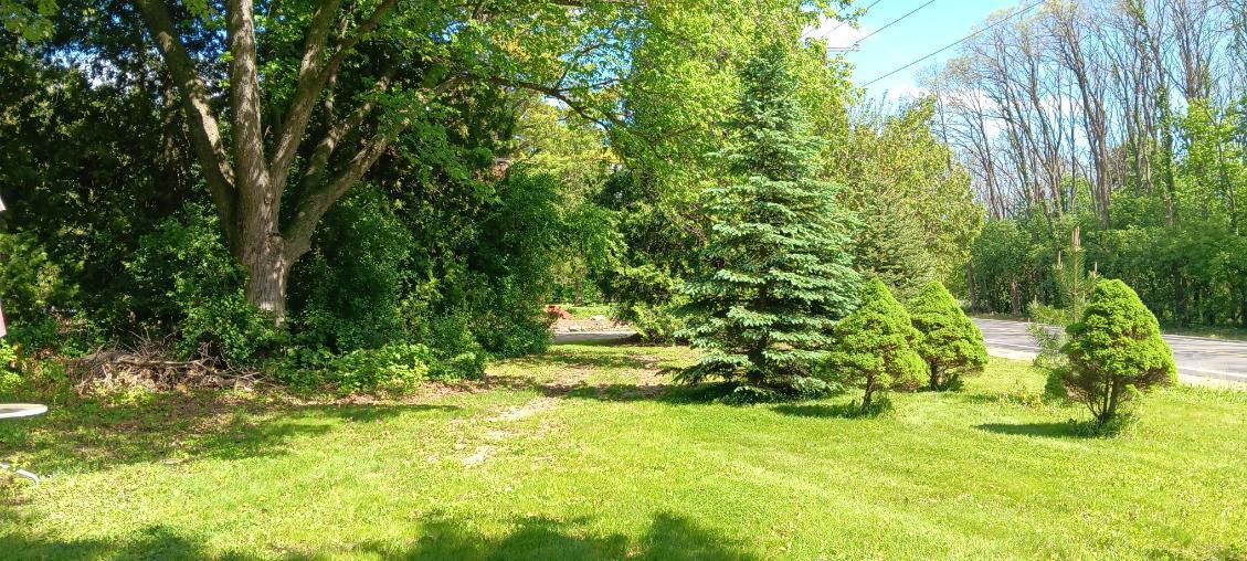 5406 State Road 50 Delavan, WI 53115 - Photo 5 of 22 Front yard