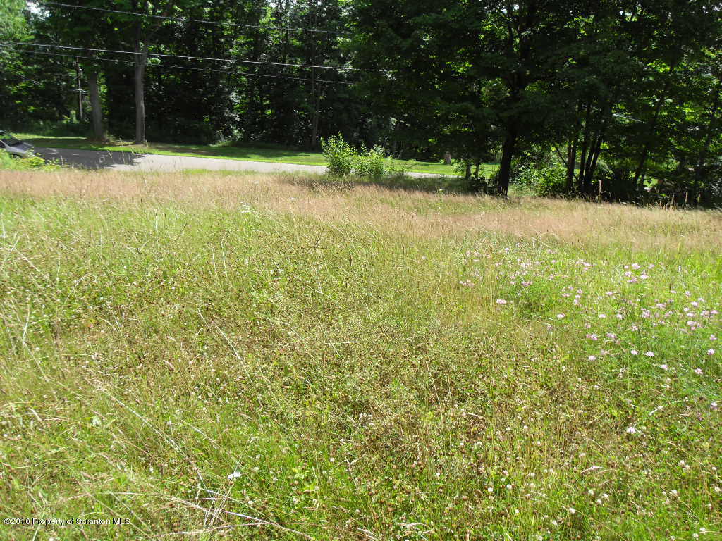 Carpenter To State Road Olyphant, PA 18447 - Photo 7 of 7 Rear View